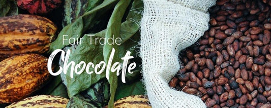 feves de cacao du commerce equitable