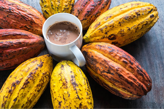 tasse chocolat liquide et cosses de cacao