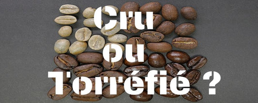 grains de cacao cru et torréfié