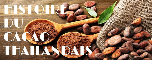 fèves de cacao séchées