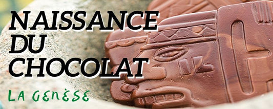 chocolat tête incas