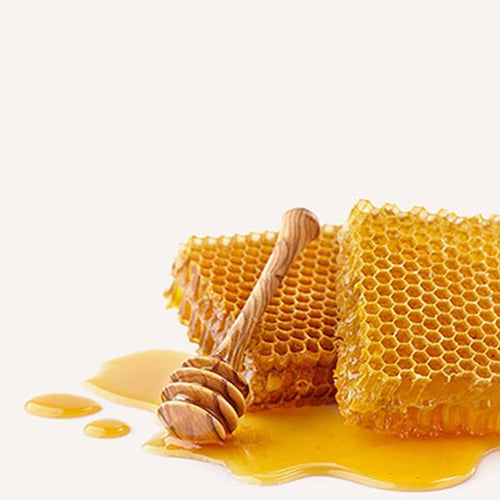miel brut en rayon