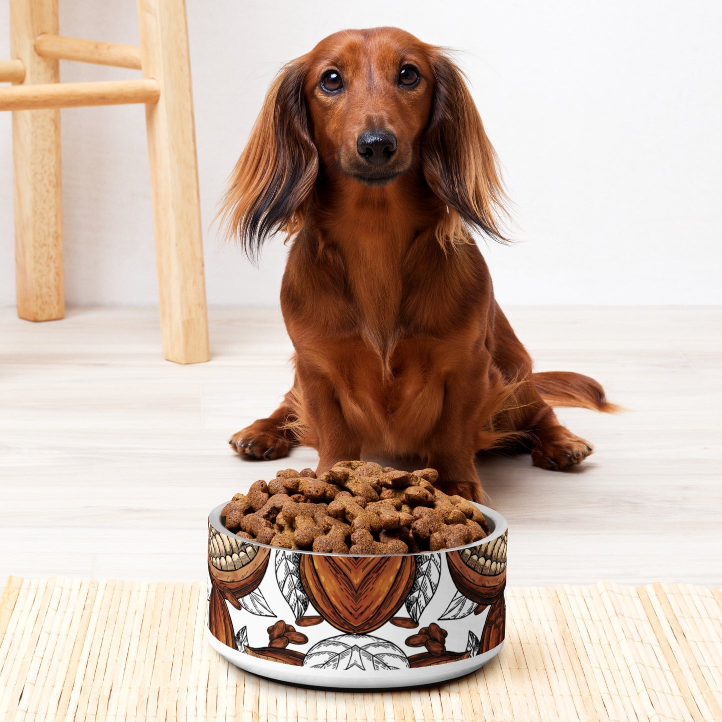 grande gamelle cacao pour chien